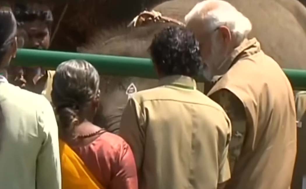 pm modi met the pomman Belli couple