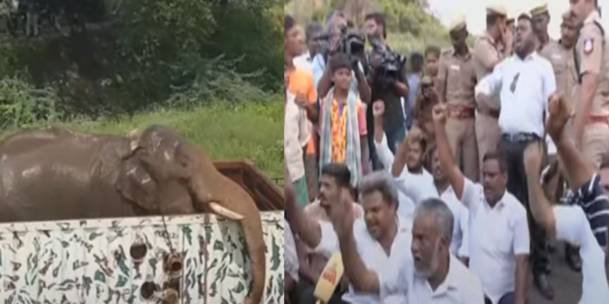 'Is our area worse than a killer elephant' - Kalakadu people against Arikompan
