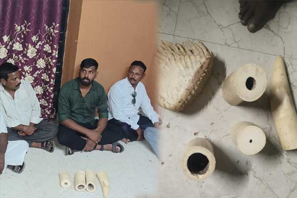 Trying to sell elephant ivory, nine people including BJP youth district secretary