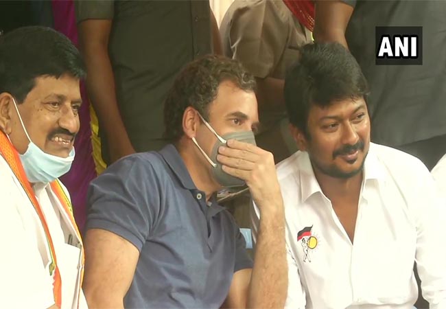 jallikattu rahul gandhi and udhayanidhi stalin meet