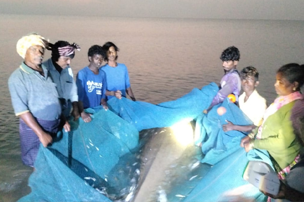 fishermen who released 800 kg sea cow caught in net back into sea