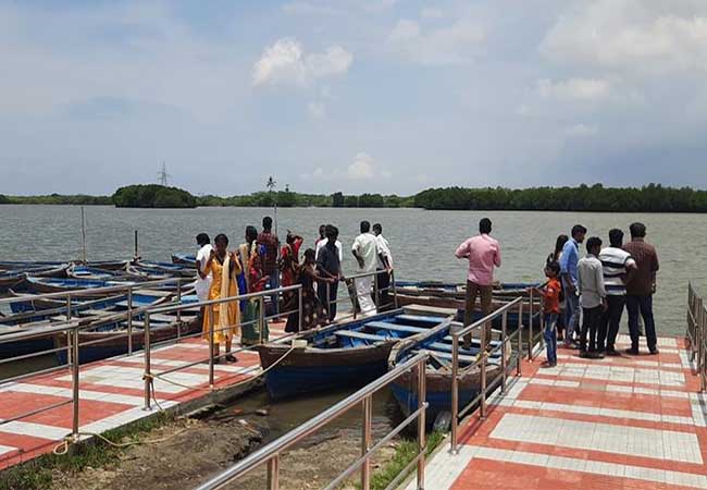 Arrangements for opening Pichavaram Tourism Center are in full swing!