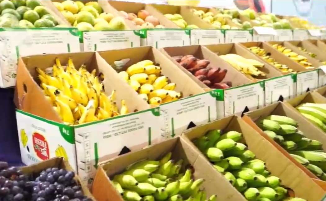 Agriculture Association Exhibition at Trichy; Preparations are intense
