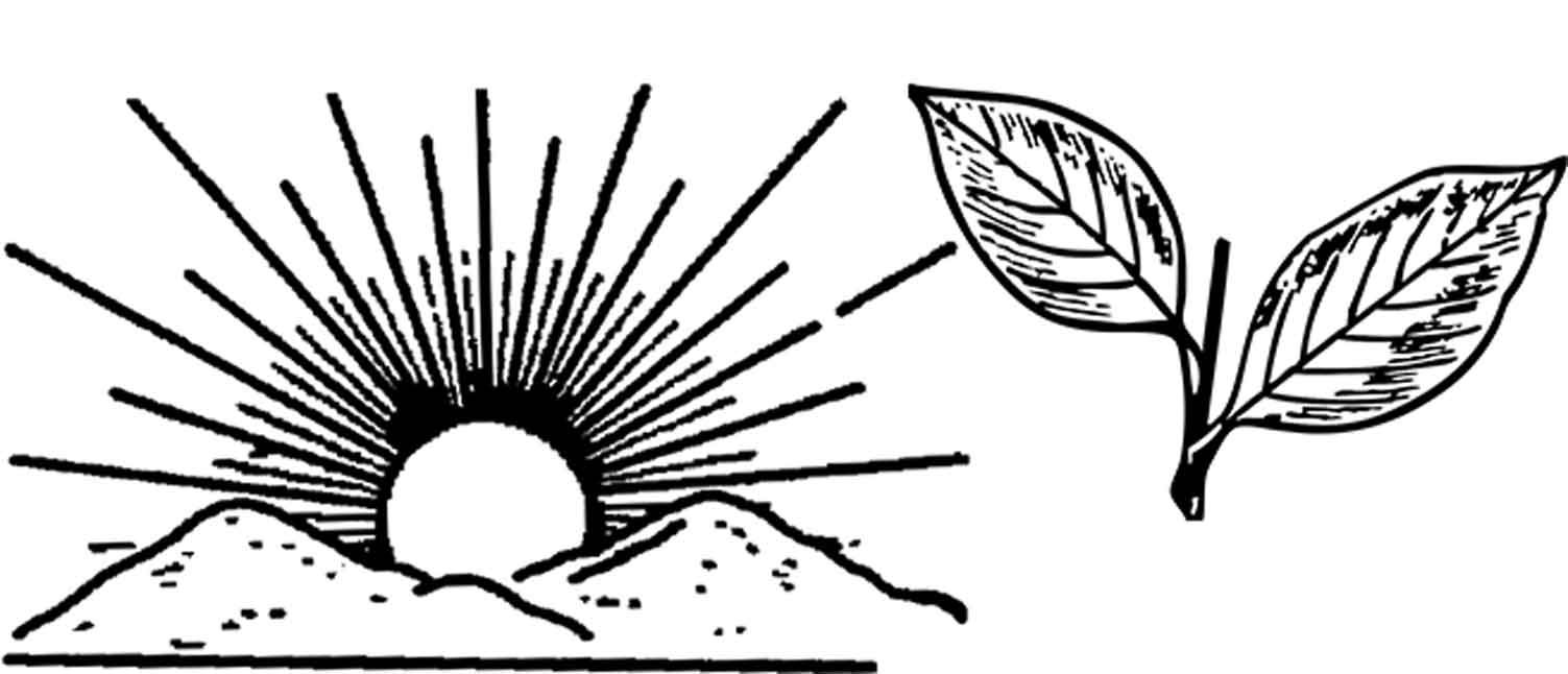 Восходящее солнце символ