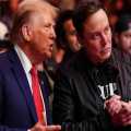 Donald Trump warns 20 years in prison for those who hit Tesla