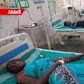 Venomous insect that bit 7 people including a pregnant woman; There is excitement in Chidambaram