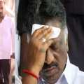 regarding AIADMK general committee issue Tamil magan Usain visits Delhi; AIADMK stirs again