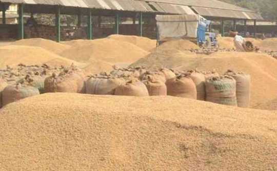 Anbumani urges CBI probe into Rs. 800 crore paddy procurement scam