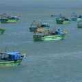 Tamil Nadu fishermen chased away by Sri Lankan Navy