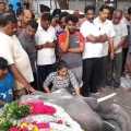 pondicherry Manakkul Vinayagar temple elephant passed away  