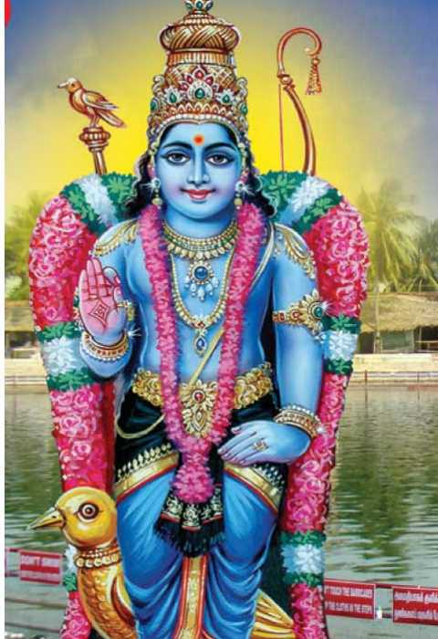 saguni