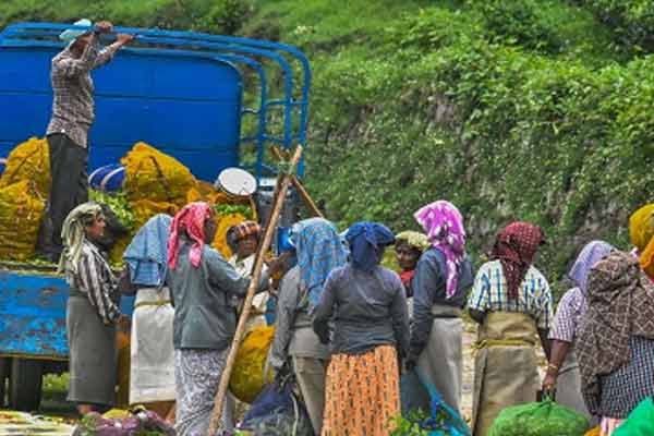 plight of the people of Manjolai Estate