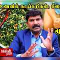  Dr Chandrasekar | pilessolution | Youngers | food | Cancer |